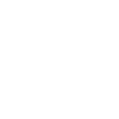 Icono 1
