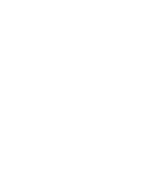 Icono 4