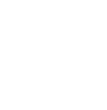 Icono 5